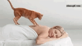 00010.gif