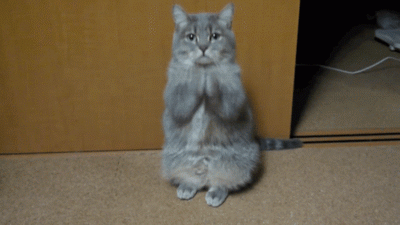 00015.gif
